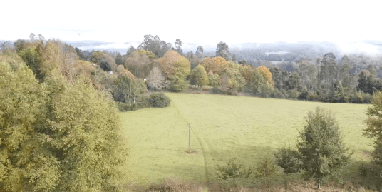 Vendo gran terreno de 10,15 Ha. Sector Pupunahue