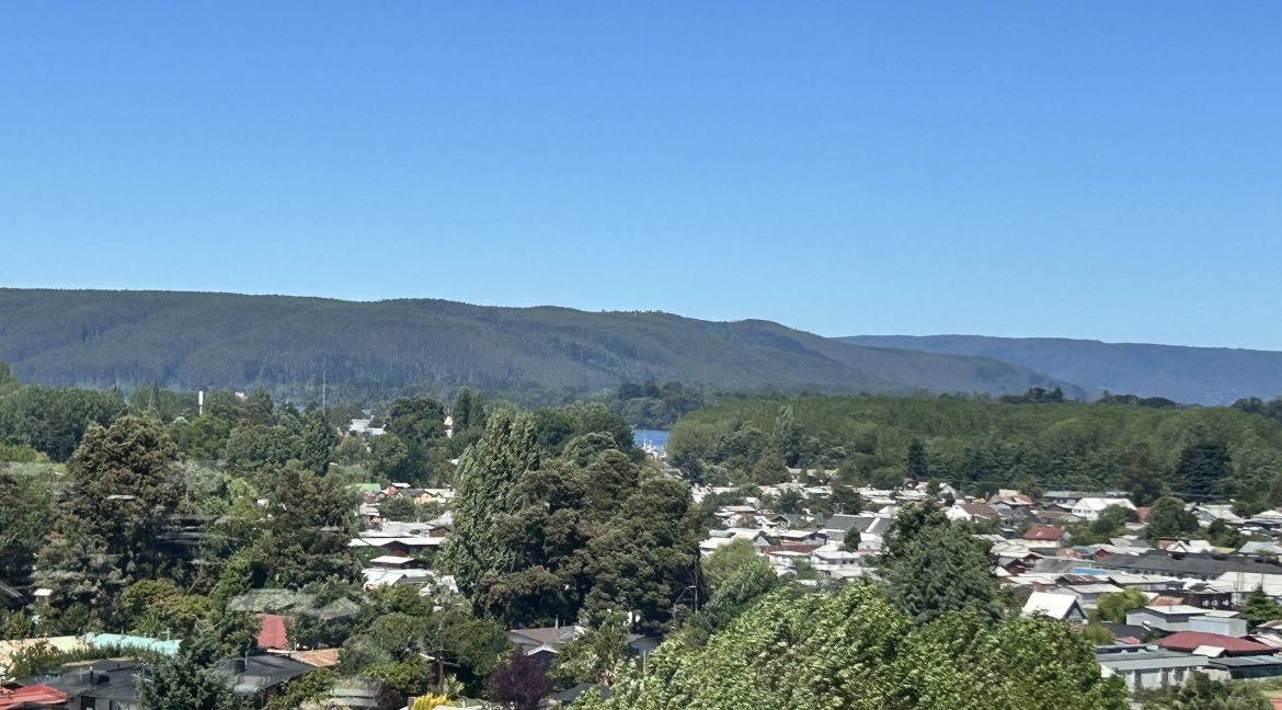 IMG_2278